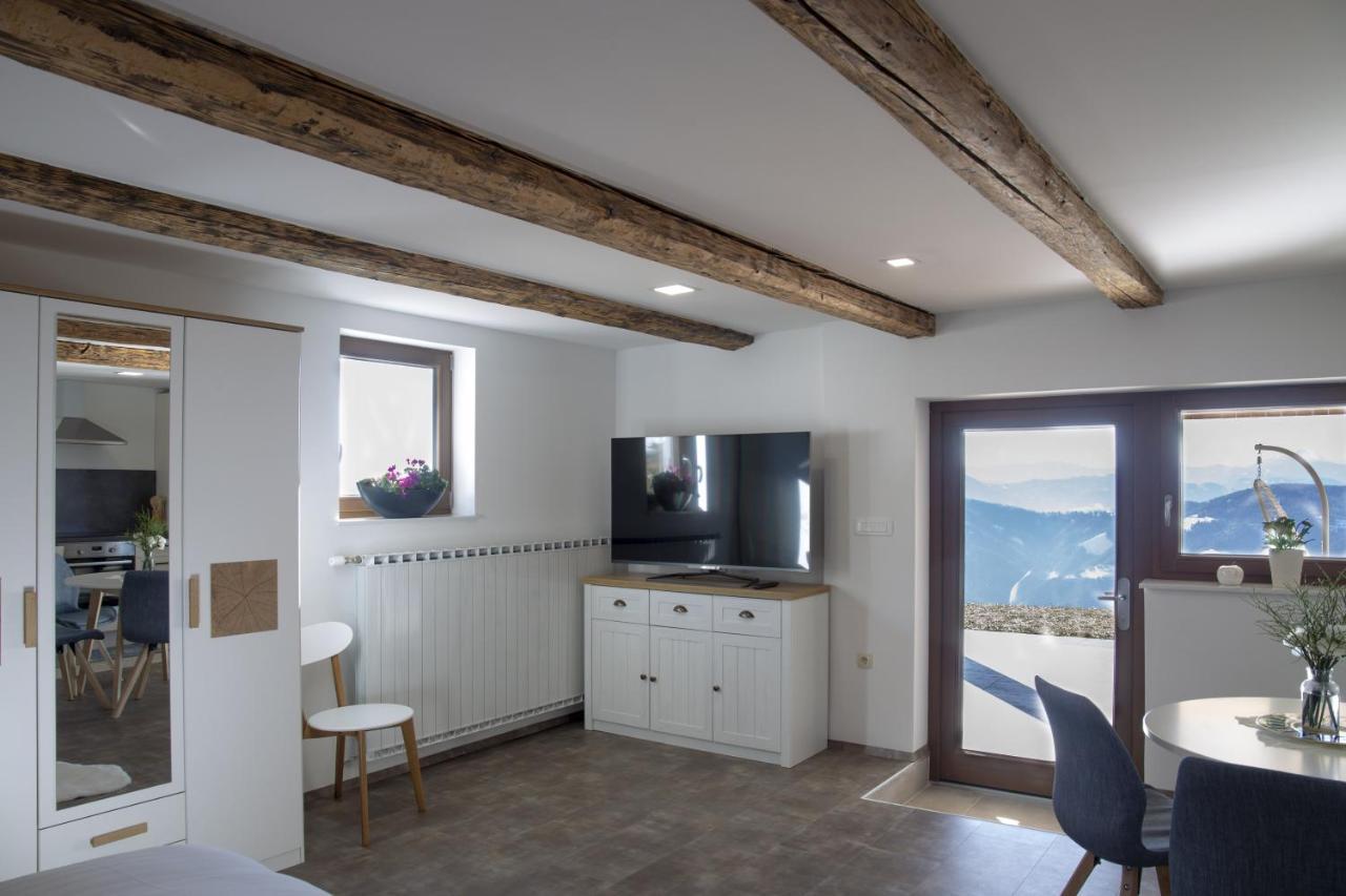 Studio 1111 With Sauna & Hot Tub Dravograd Eksteriør billede