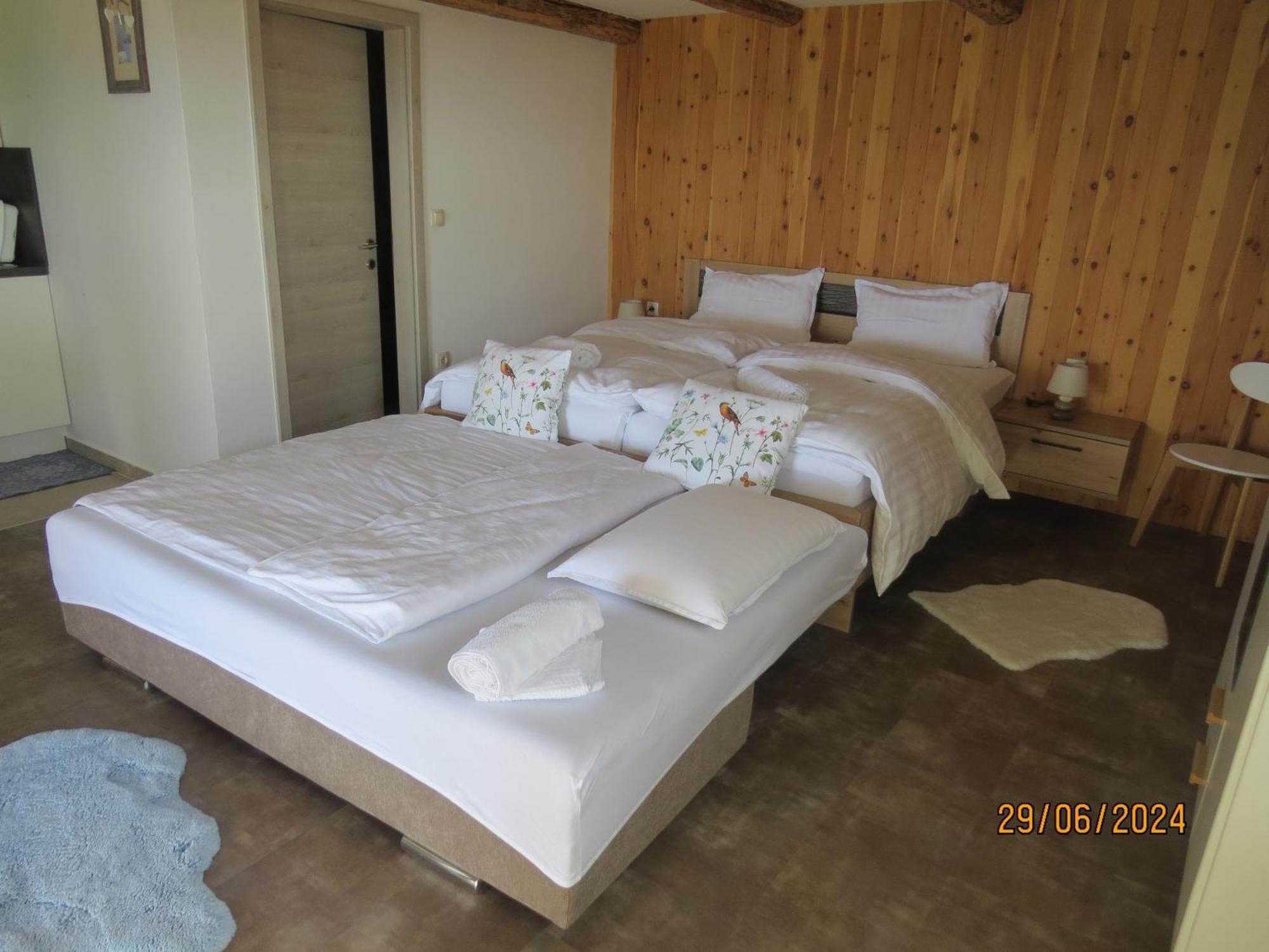 Studio 1111 With Sauna & Hot Tub Dravograd Eksteriør billede